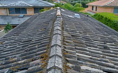 Signs Your Roof Needs Immediate Attention